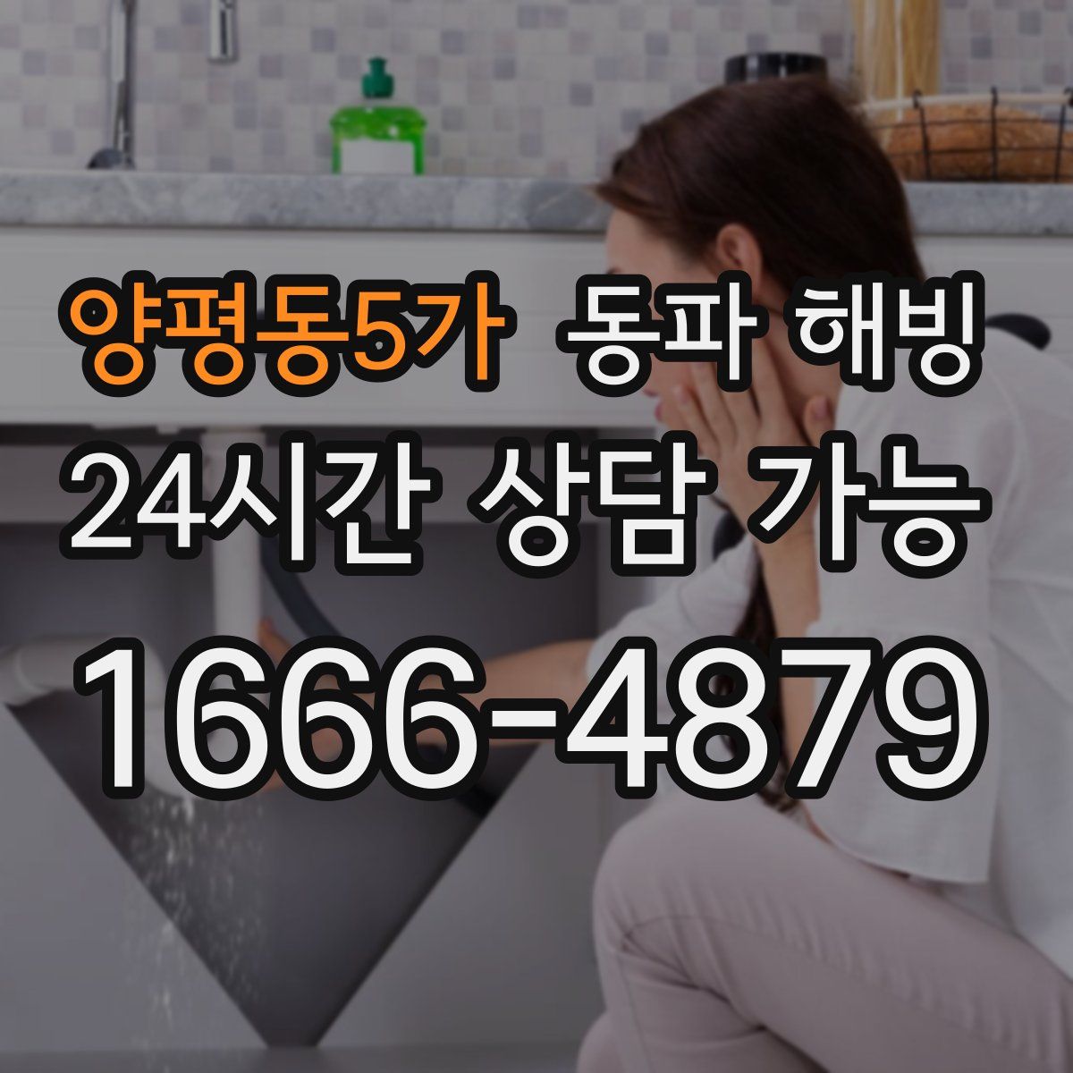 양평동5가 해빙