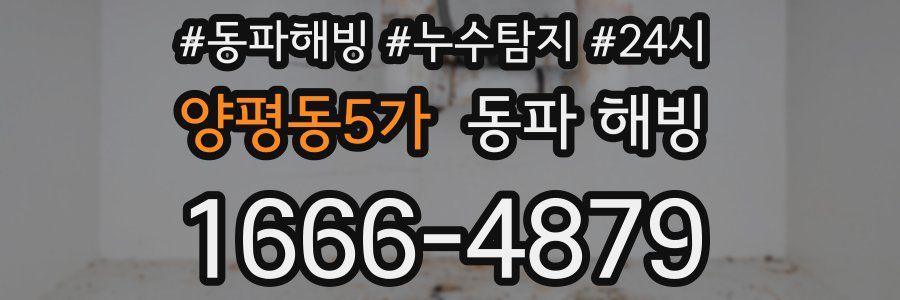 양평동5가 동파