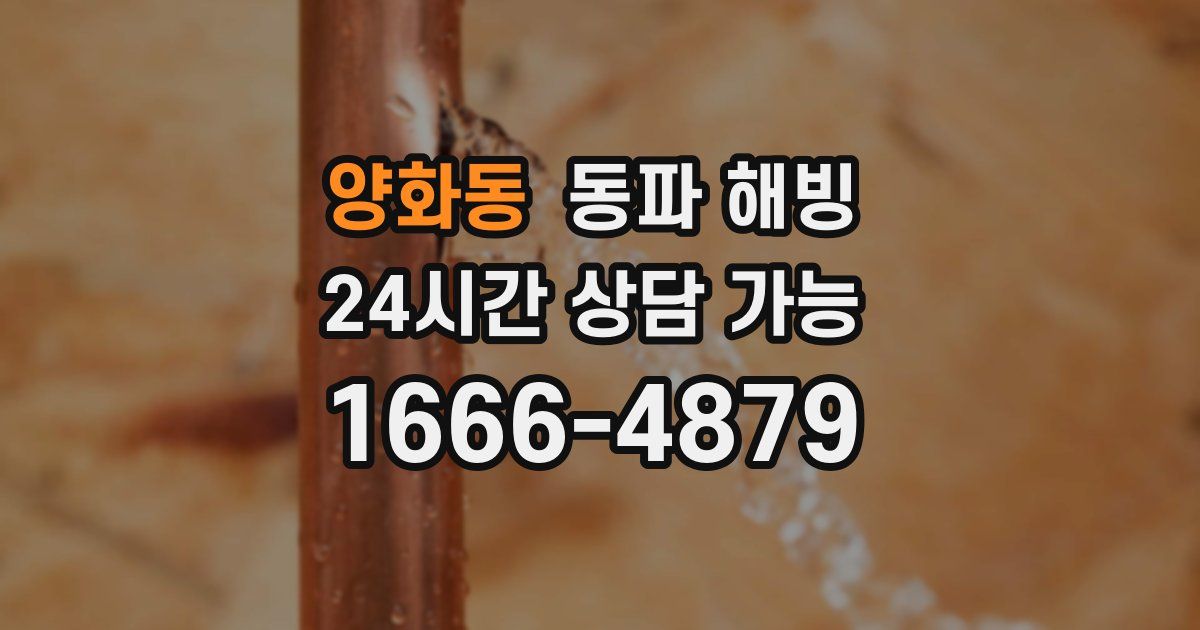 양화동 동파 해빙