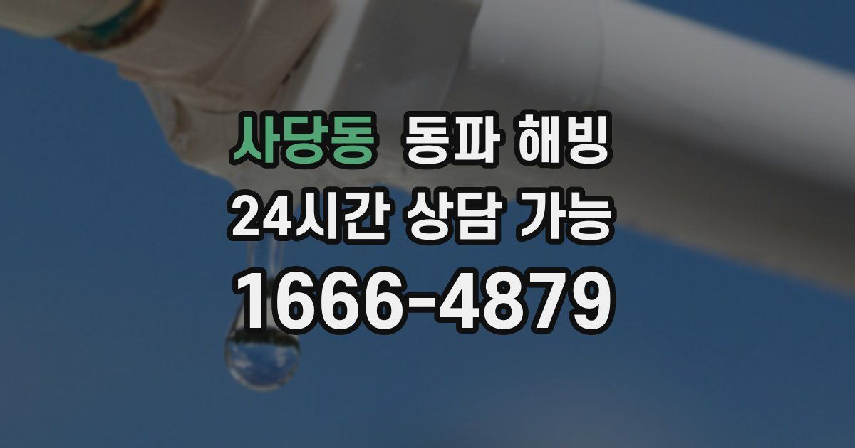 사당동 동파 해빙