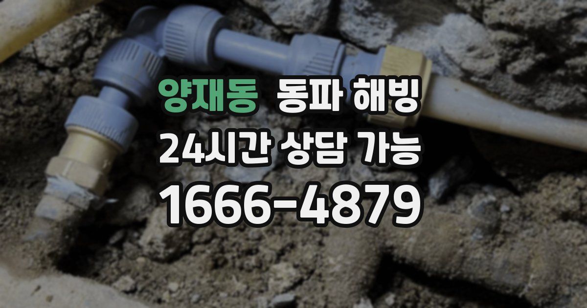 양재동 동파 해빙