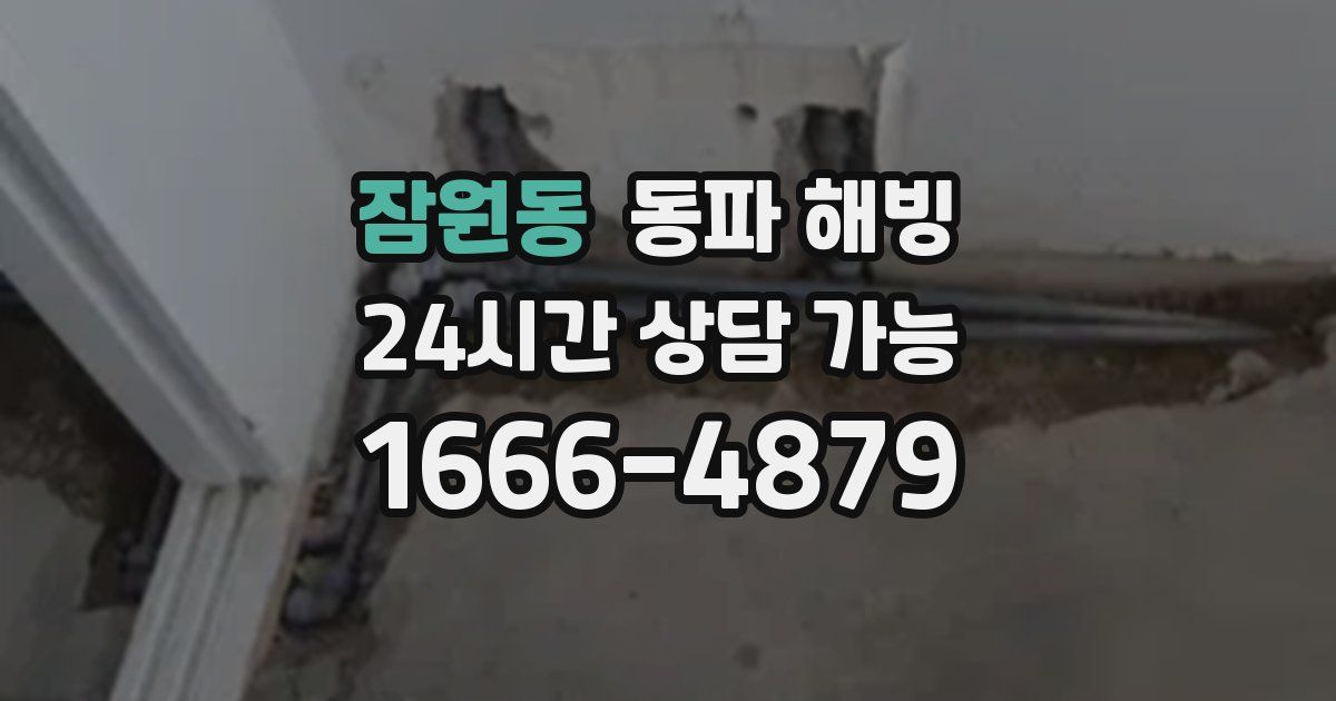 잠원동 동파 해빙