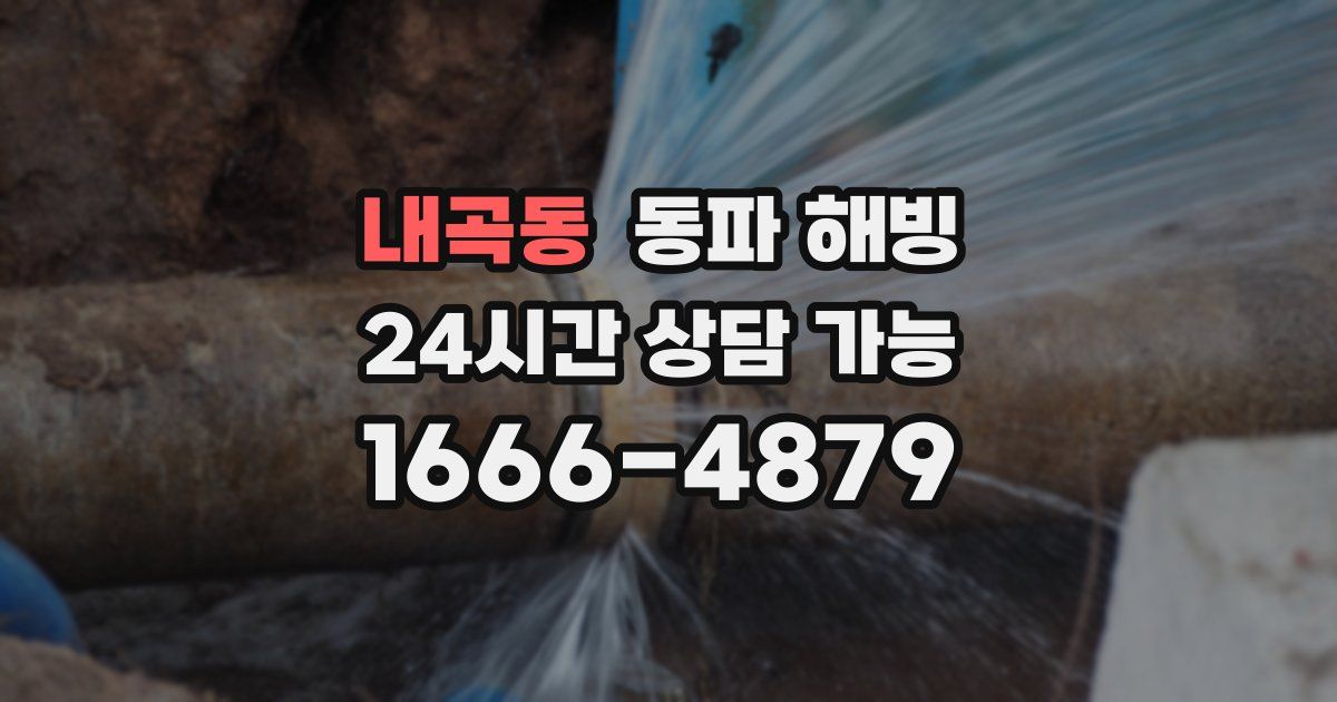 내곡동 동파 해빙