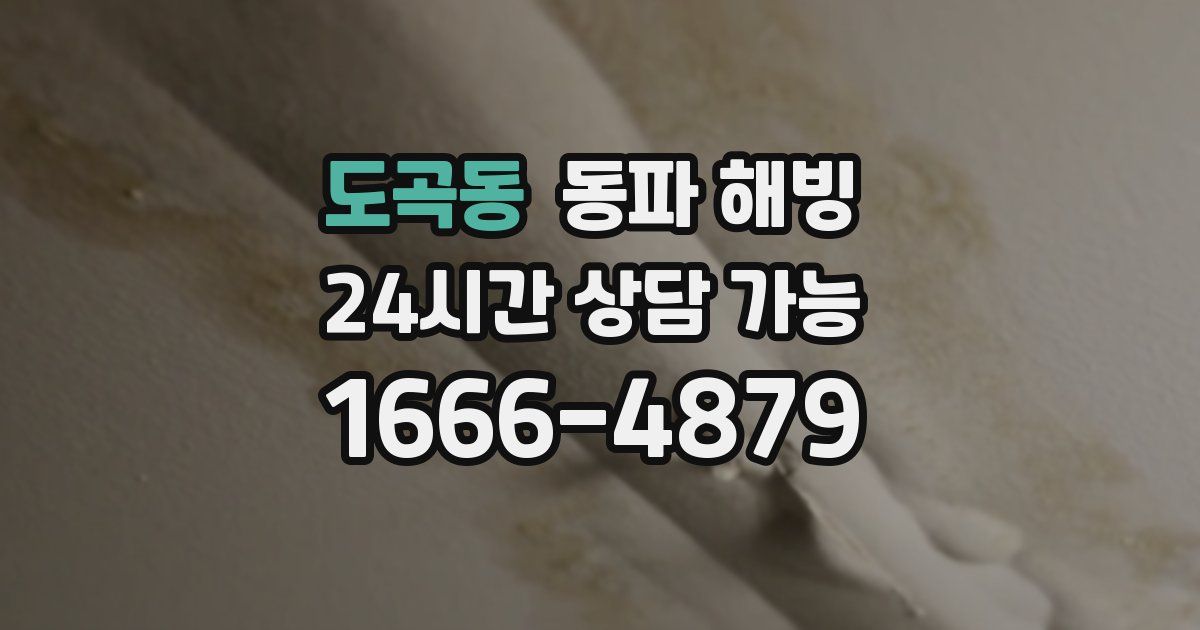 도곡동 동파 해빙