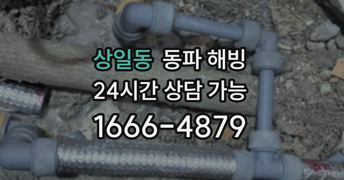 상일동 동파 해빙