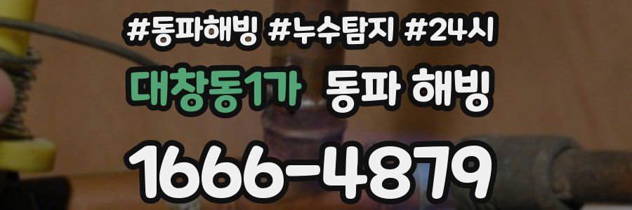 대창동1가 동파