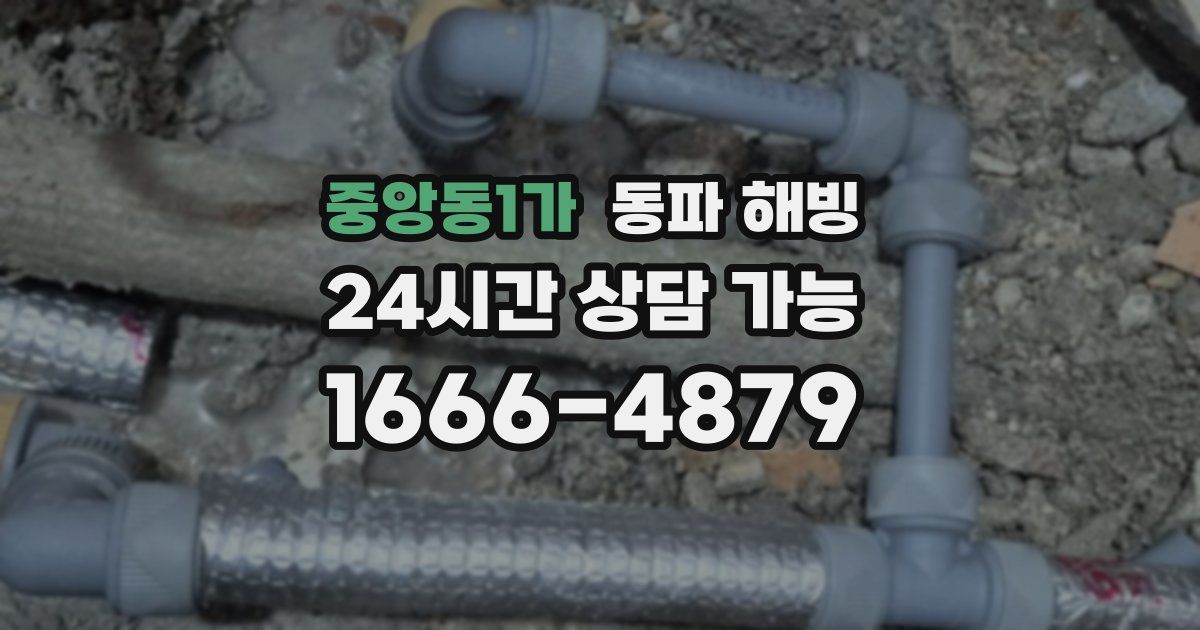 중앙동1가 동파 해빙