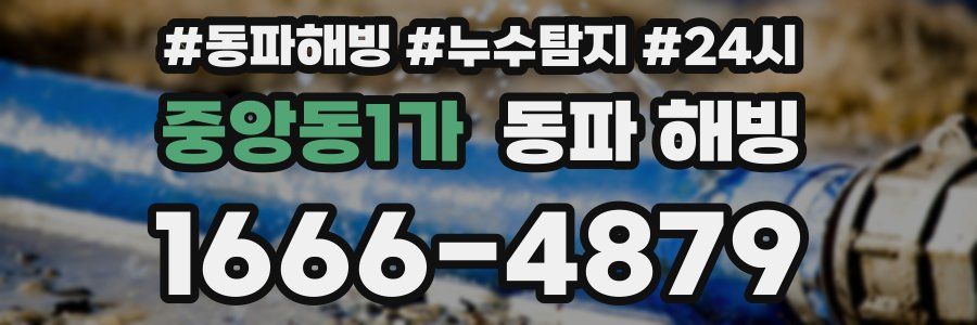 중앙동1가 동파