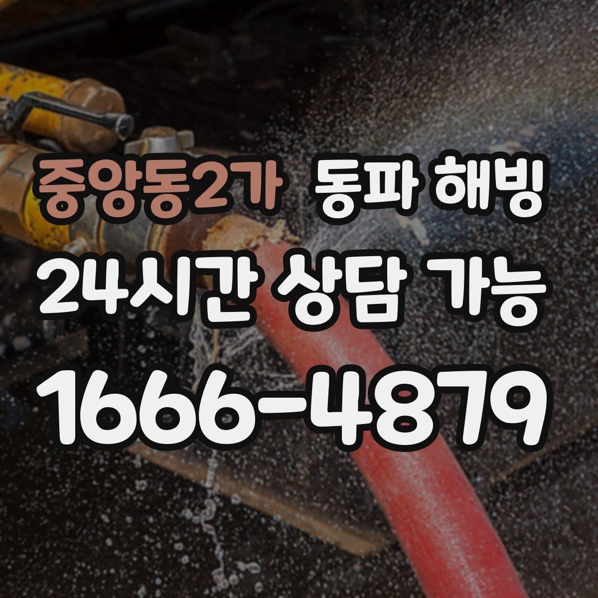 중앙동2가 동파 해빙 현장 점검이 어떤 순서로 진행되는지