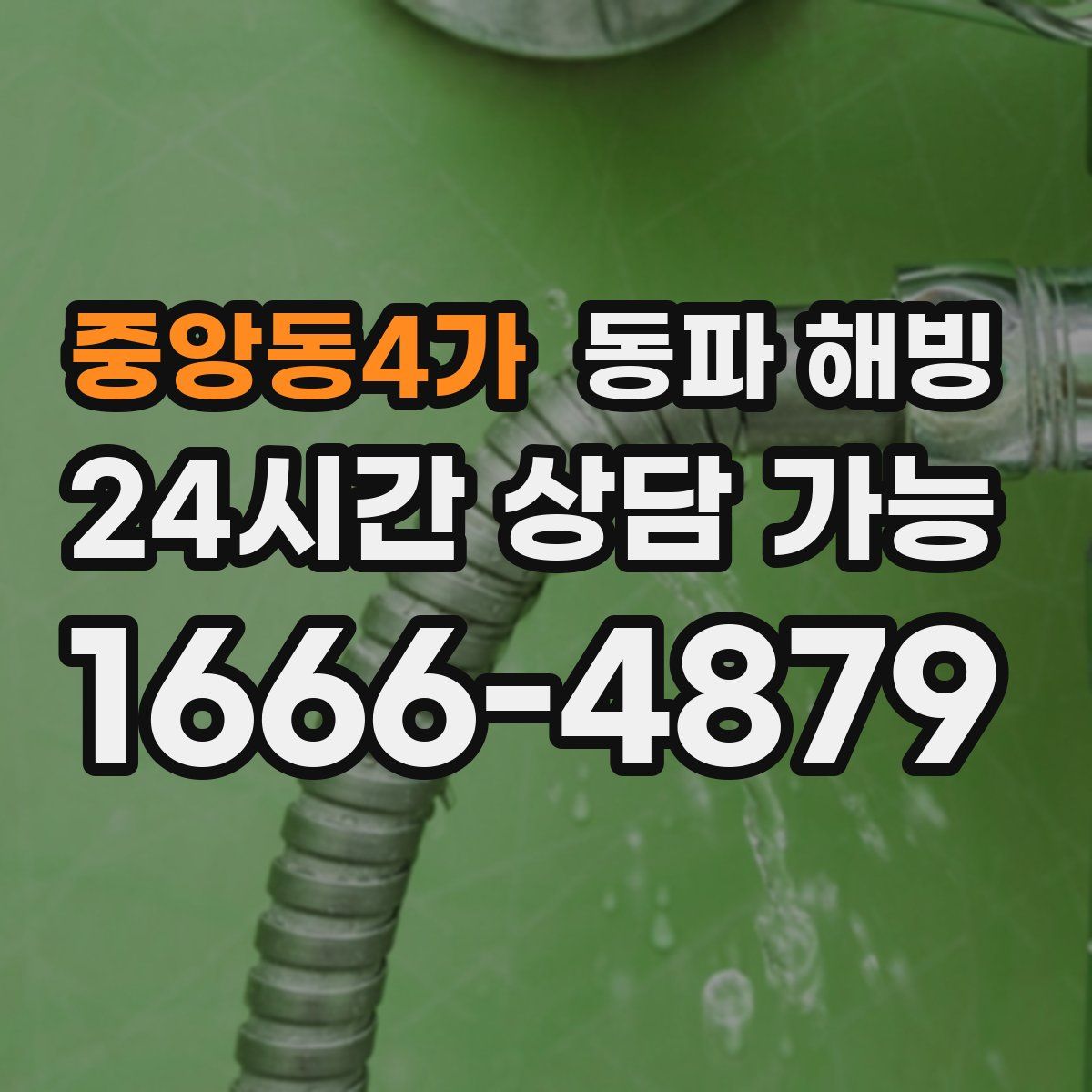 중앙동4가 해빙