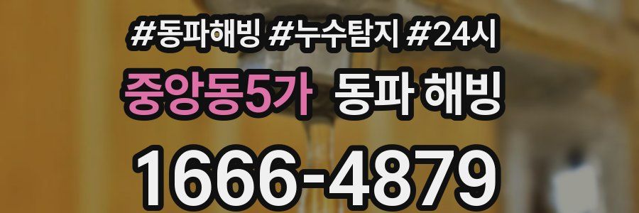 중앙동5가 동파