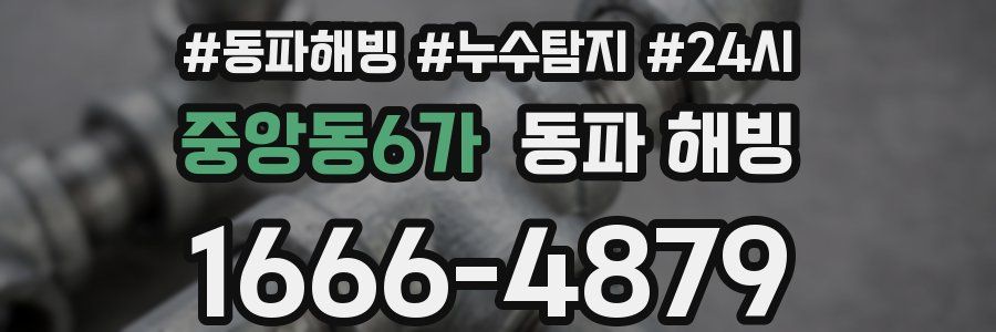 중앙동6가 동파