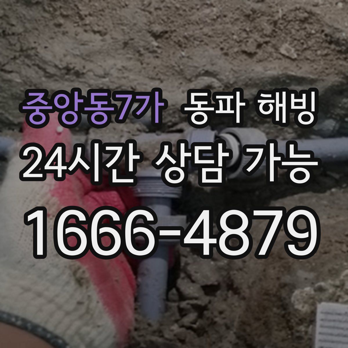 중앙동7가 해빙