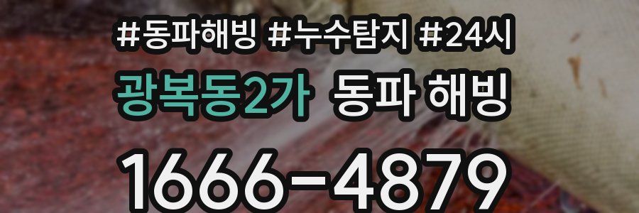 광복동2가 동파