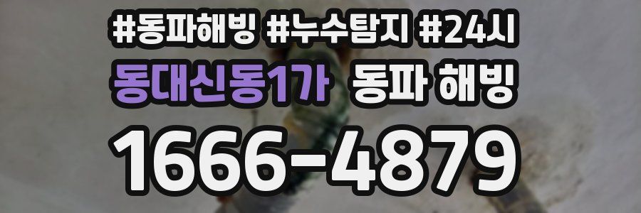 동대신동1가 동파