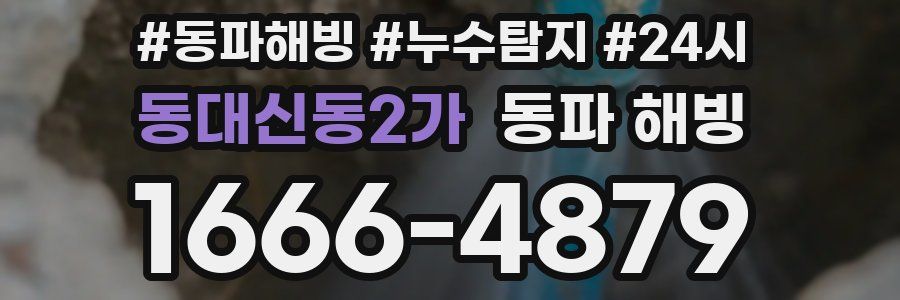 동대신동2가 동파