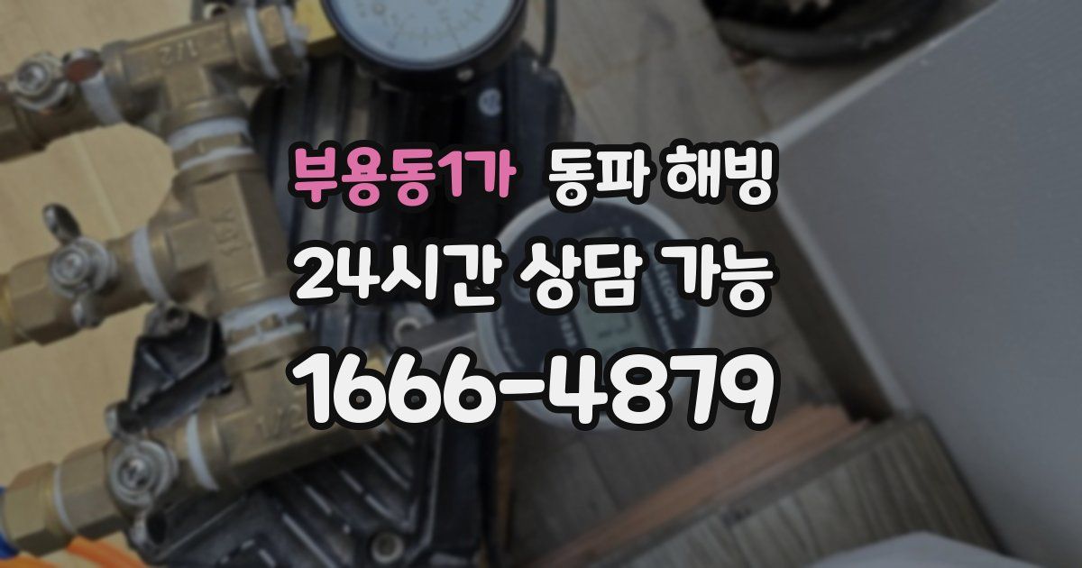 부용동1가 동파 해빙