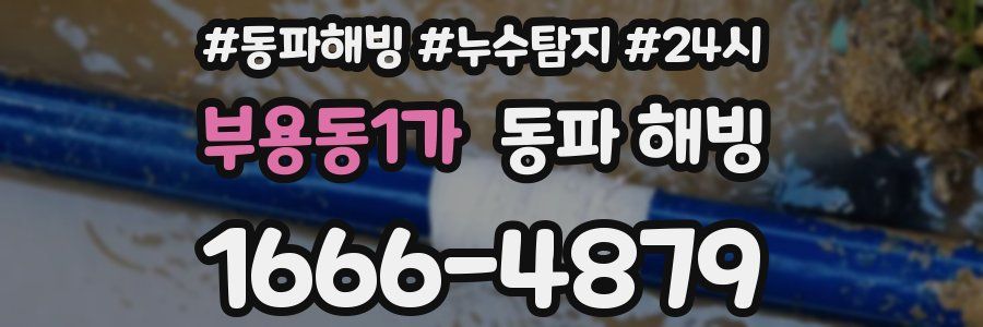 부용동1가 동파