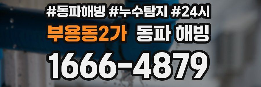 부용동2가 동파