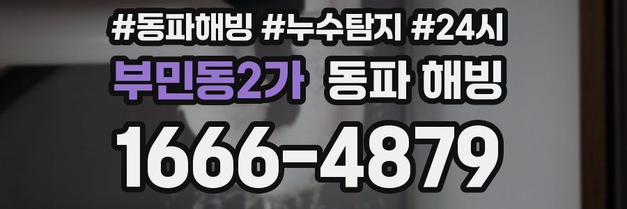 부민동2가 동파