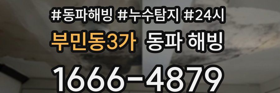 부민동3가 동파