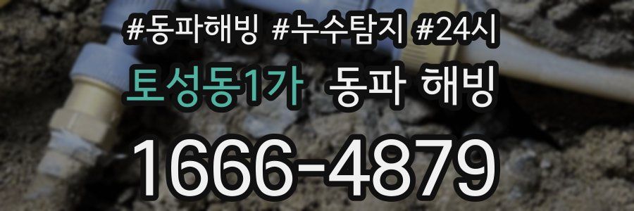 토성동1가 동파