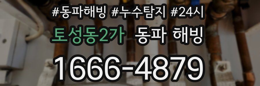 토성동2가 동파