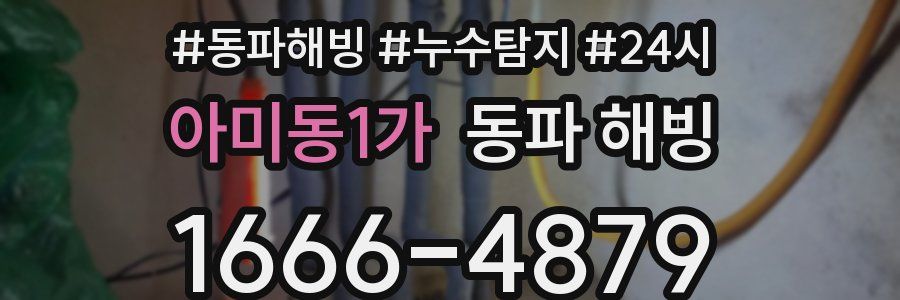 아미동1가 동파