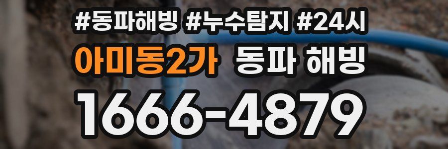 아미동2가 동파