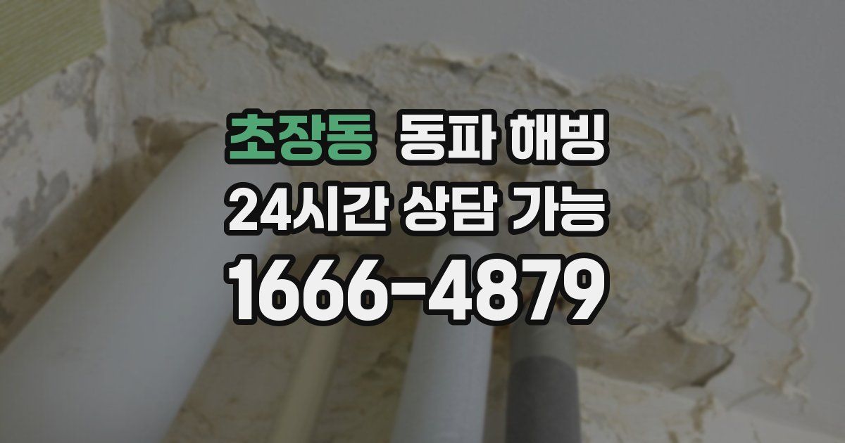 초장동 동파 해빙