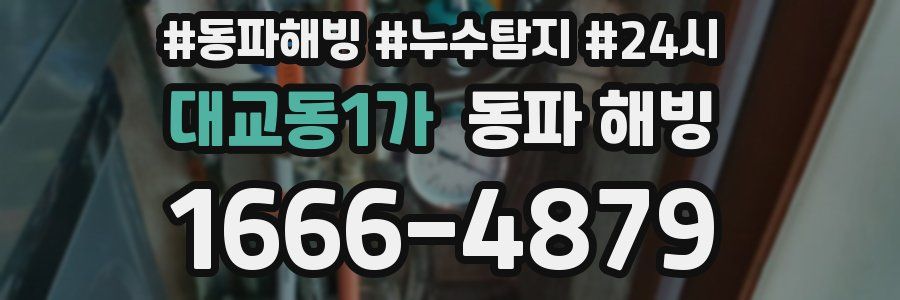 대교동1가 동파