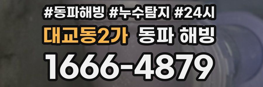 대교동2가 동파