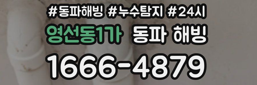 영선동1가 동파