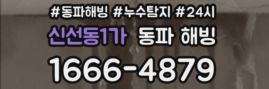 신선동1가 동파