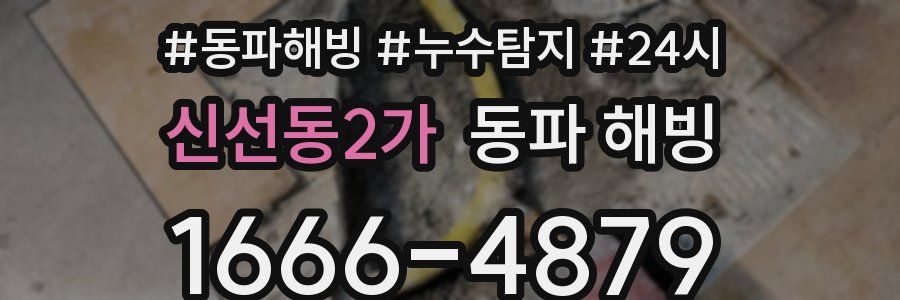 신선동2가 동파
