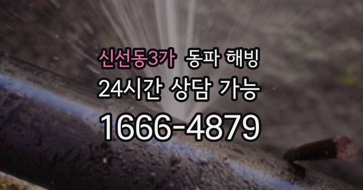 신선동3가 동파 해빙