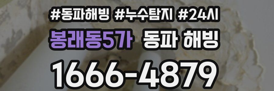 봉래동5가 동파