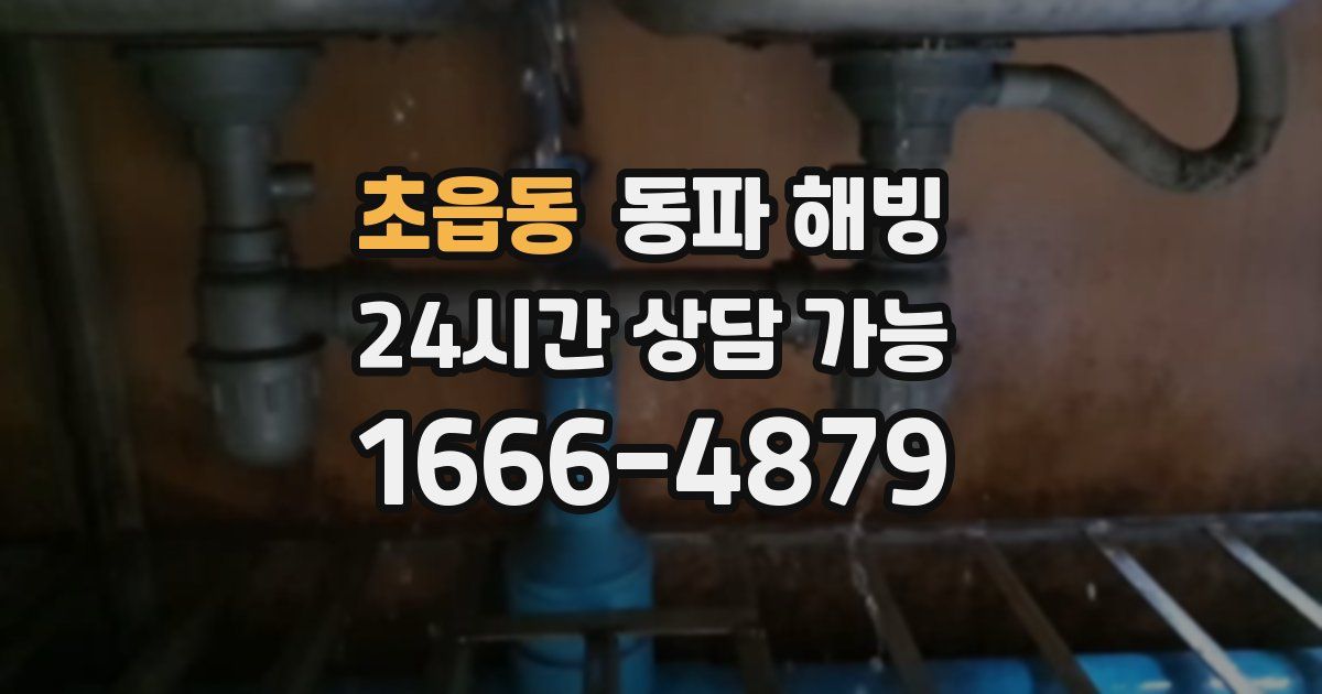 초읍동 동파 해빙