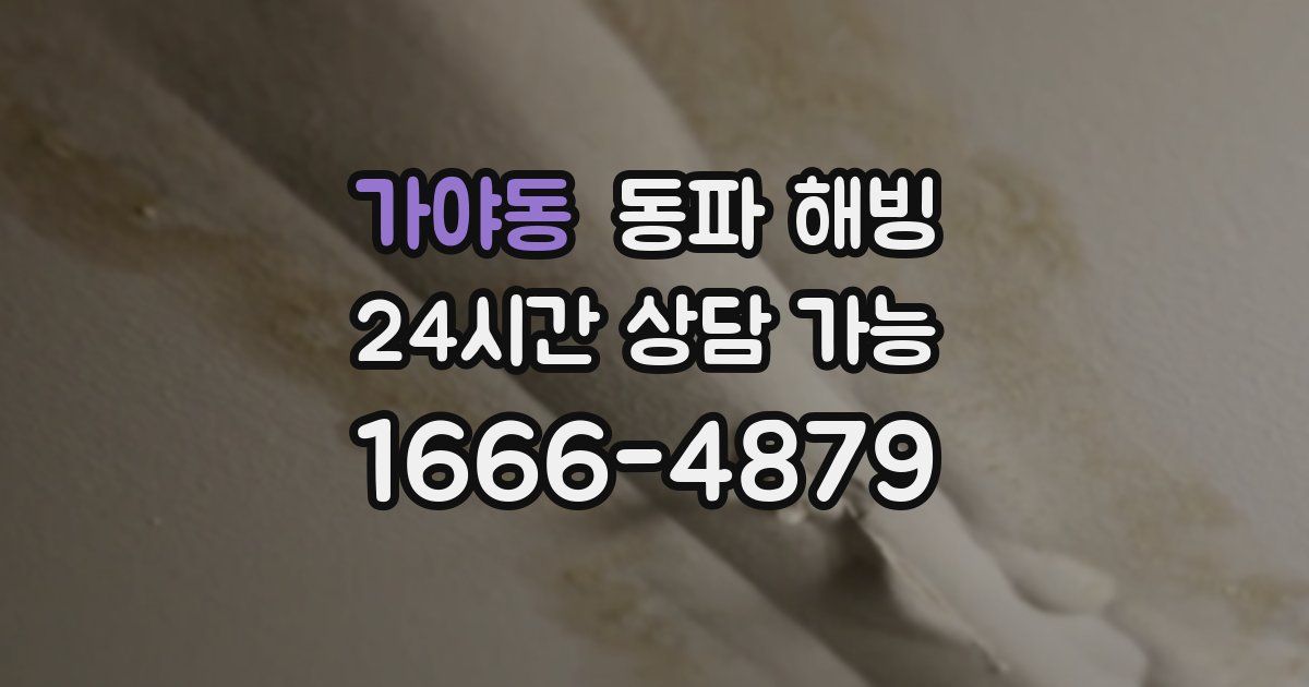 가야동 동파 해빙