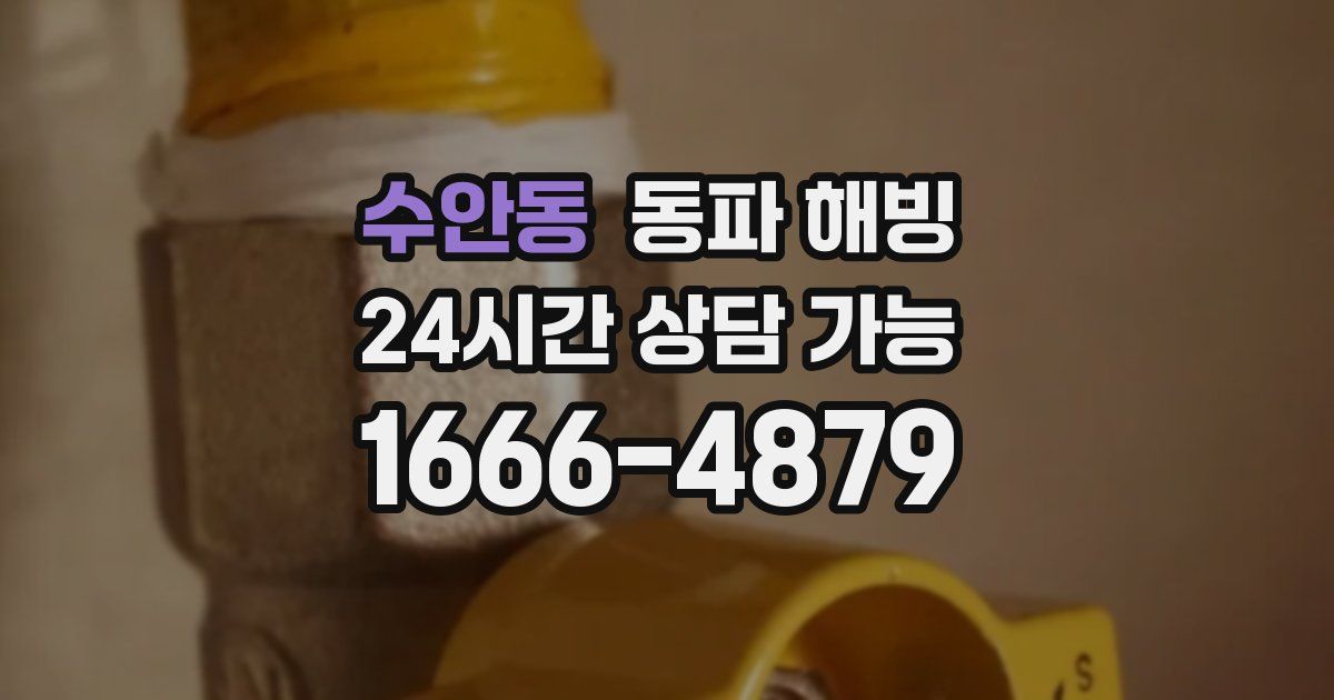 수안동 동파 해빙