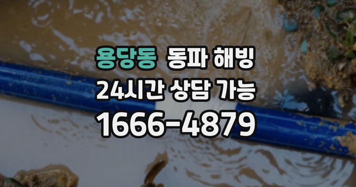 용당동 동파 해빙