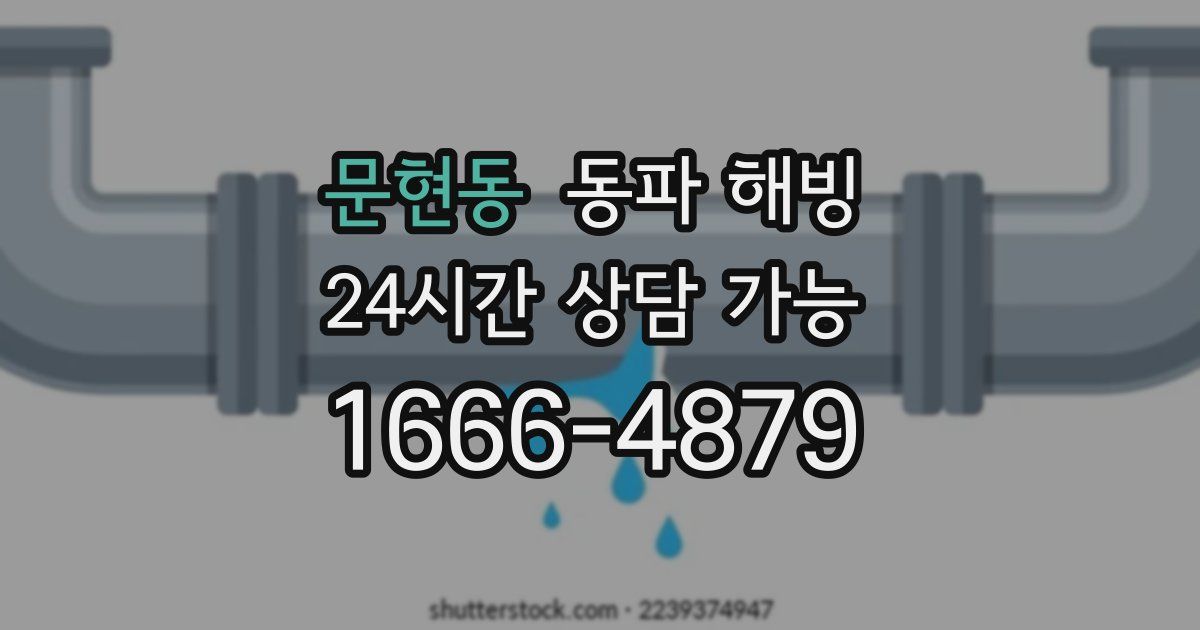 문현동 동파 해빙