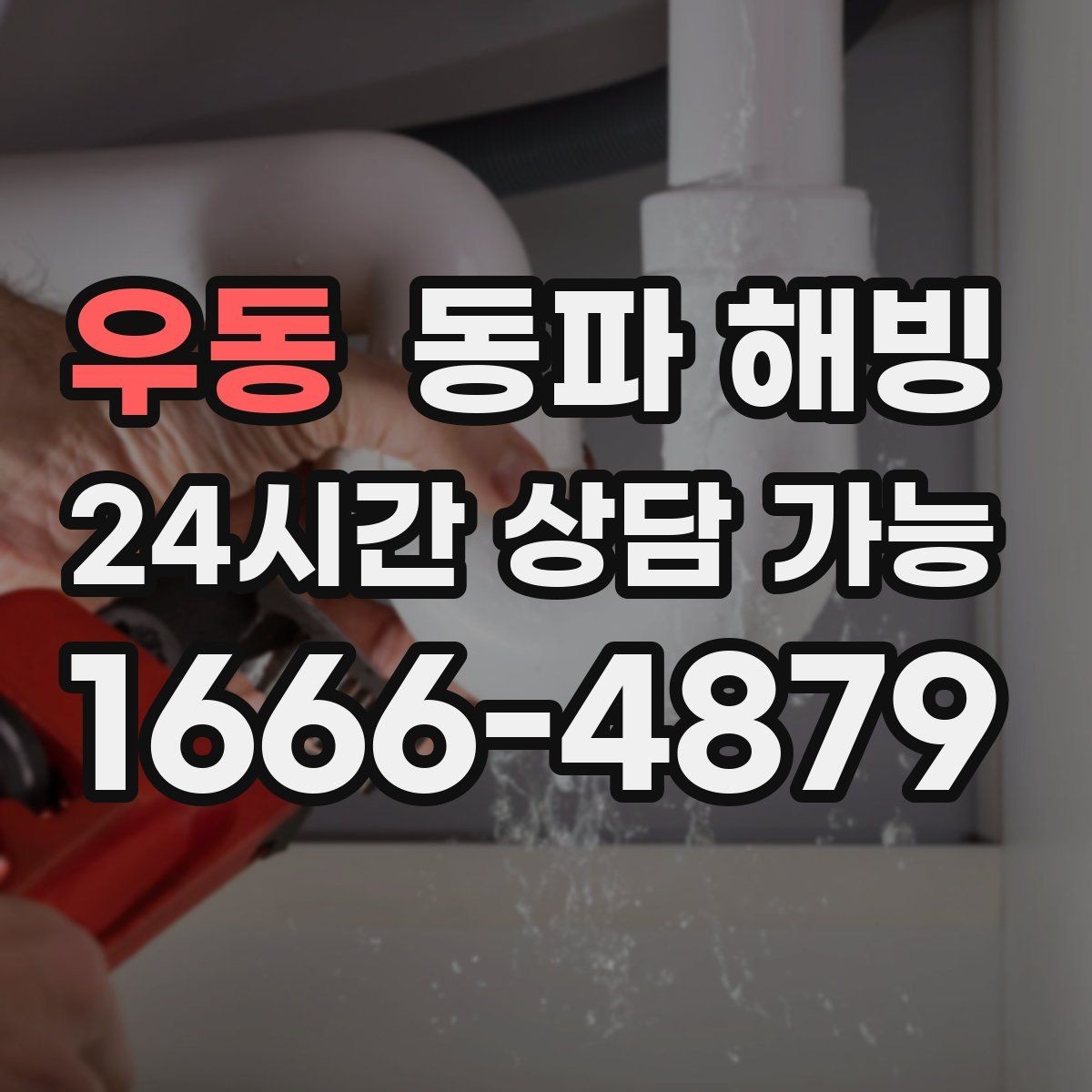 우동 동파 해빙 안전하게 진행해야 하는 핵심 이유