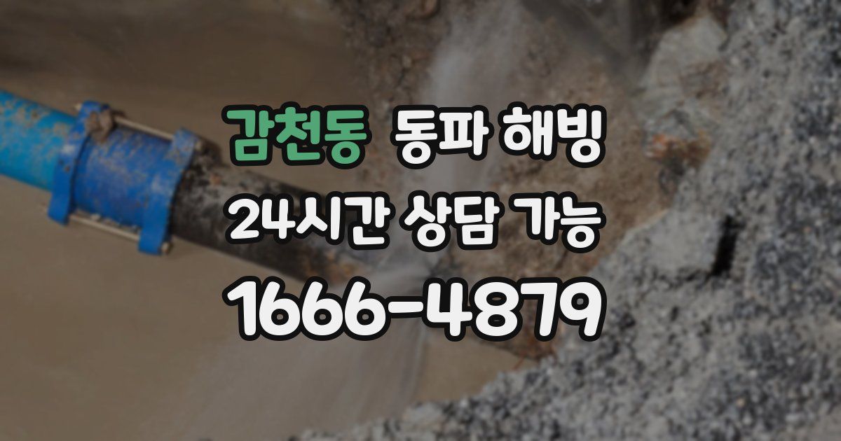 감천동 동파 해빙