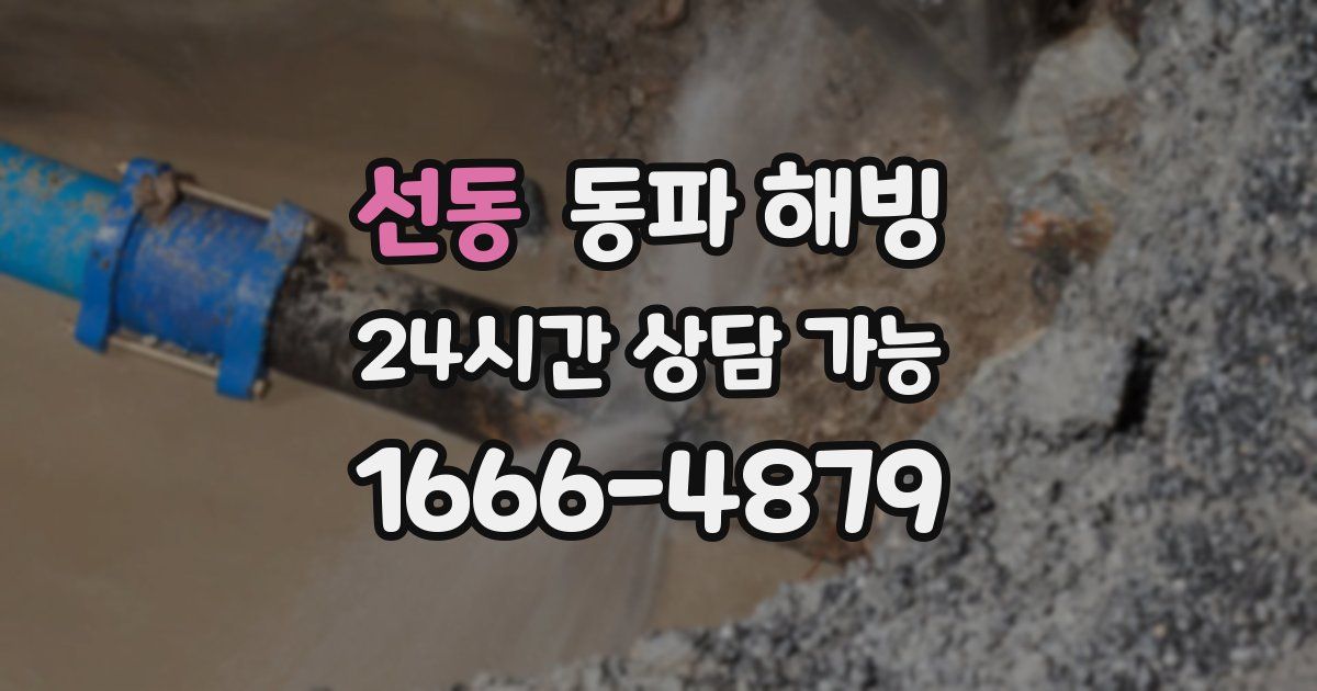 선동 동파 해빙