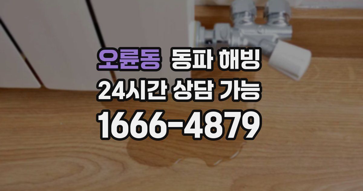 오륜동 동파 해빙