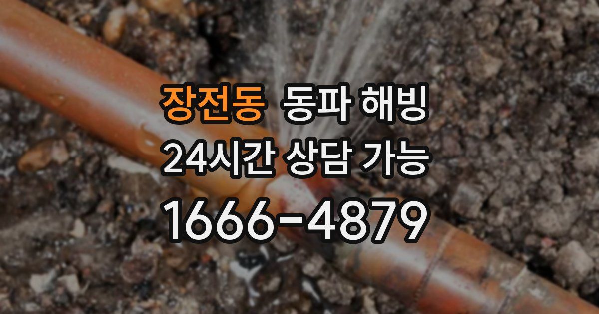 장전동 동파 해빙