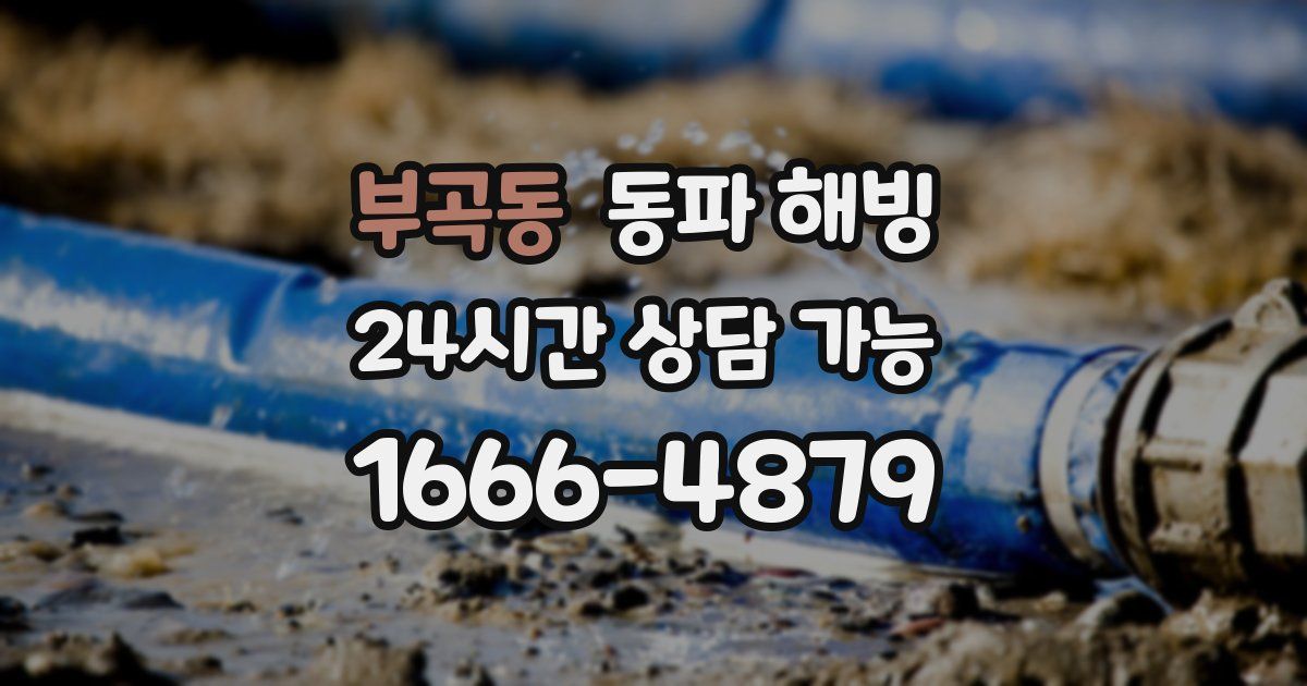 부곡동 동파 해빙