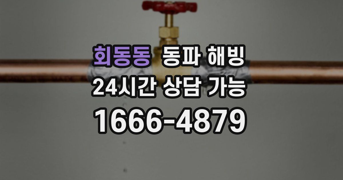 회동동 동파 해빙