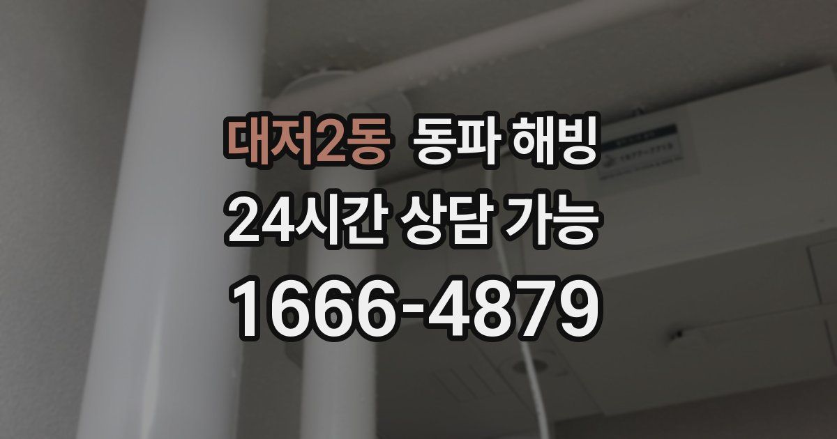 대저2동 동파 해빙